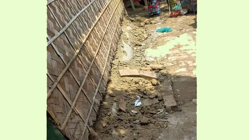 শোবার ঘরে মিললো বিষধর গোখরা সাপের ২২বাচ্চা শোবার ঘরে মিললো বিষধর গোখরা সাপের ২২বাচ্চা