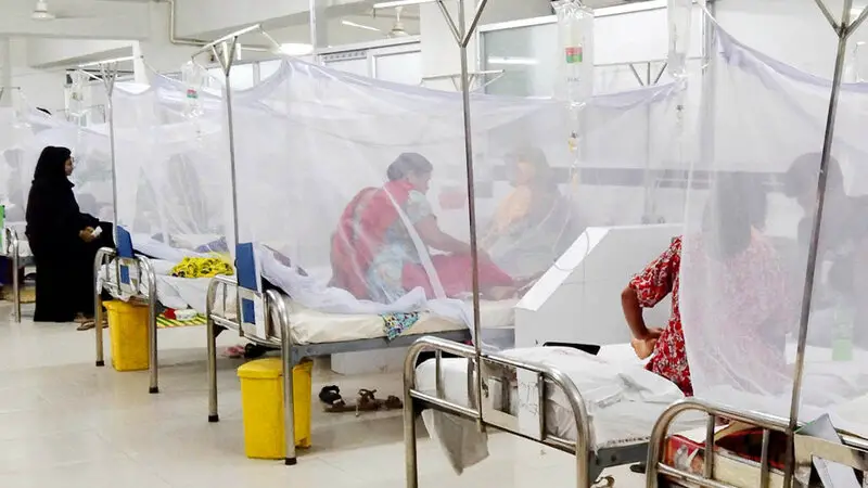 ডেঙ্গু আক্রান্ত হয়ে হাসপাতালে আরও ১১ ডেঙ্গু আক্রান্ত হয়ে হাসপাতালে আরও ১১