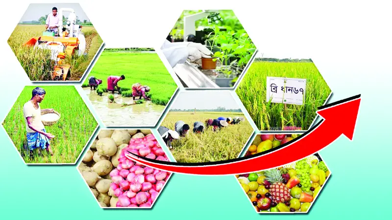 কৃষিতে নীরব বিপ্লব কৃষিতে নীরব বিপ্লব