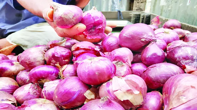পেঁয়াজ নিয়ে তুলকালাম পেঁয়াজ নিয়ে তুলকালাম