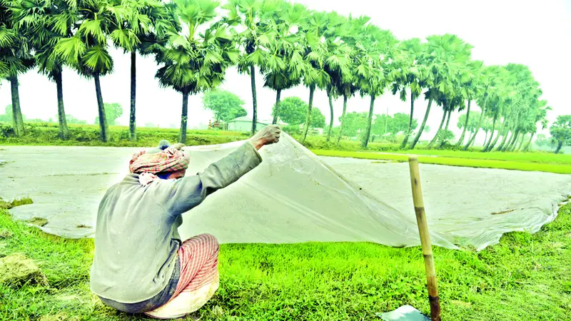 বোরো আবাদ নিয়ে শঙ্কা