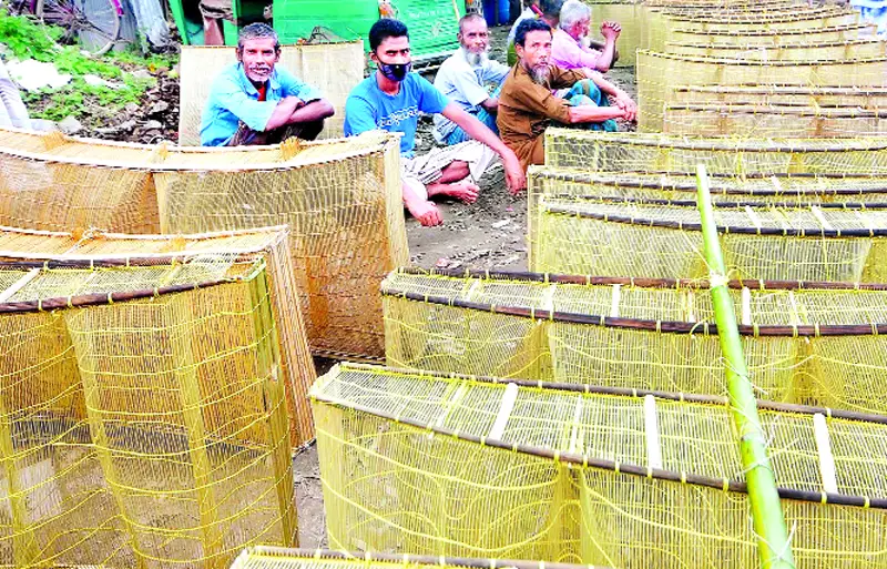 ছোট মাছ ধরার ফাঁদ দাড়কি, কোথাও নাম চাঁই ছোট মাছ ধরার ফাঁদ দাড়কি, কোথাও নাম চাঁই