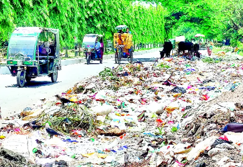 বগুড়ায় বর্জ্য ফেলা হচ্ছে রাস্তার ওপর, ঘটছে এডিস মশার বিস্তার বগুড়ায় বর্জ্য ফেলা হচ্ছে রাস্তার ওপর, ঘটছে এডিস মশার বিস্তার