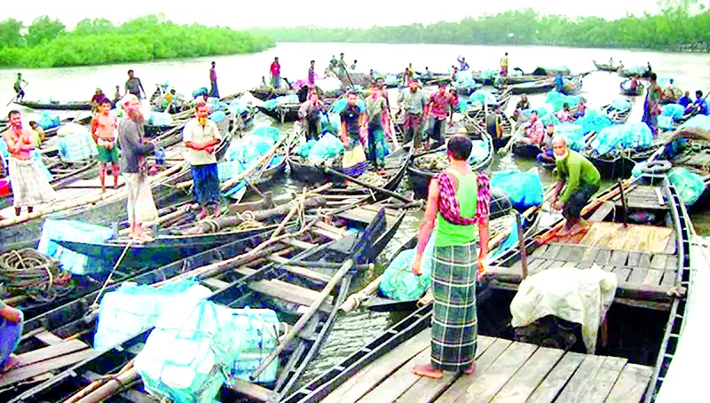 চাঁদাবাজিতে দিশাহারা সুন্দরবনের জেলেরা চাঁদাবাজিতে দিশাহারা সুন্দরবনের জেলেরা
