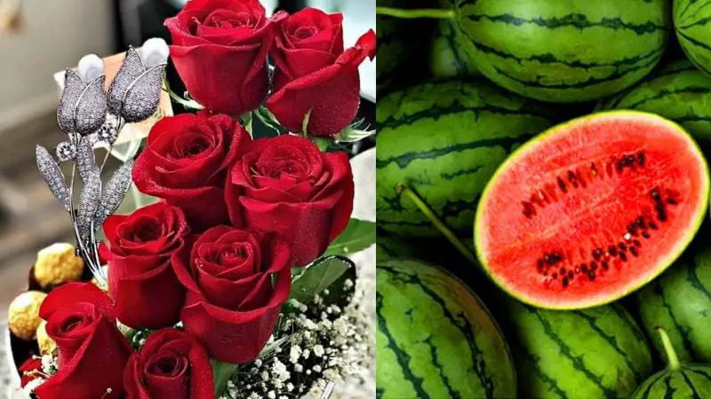 ৫৫ কোটি টাকার লটারি জিতে স্ত্রীর জন্য কিনলেন ফুল নিজের জন্য তরমুজ ৫৫ কোটি টাকার লটারি জিতে স্ত্রীর জন্য কিনলেন ফুল নিজের জন্য তরমুজ
