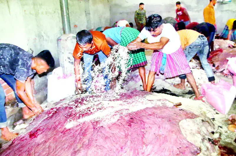বাজার হারাচ্ছে চামড়া ॥ শর্ত পূরণ না হওয়ায় ক্ষতিগ্রস্ত রপ্তানি বাজার হারাচ্ছে চামড়া ॥ শর্ত পূরণ না হওয়ায় ক্ষতিগ্রস্ত রপ্তানি