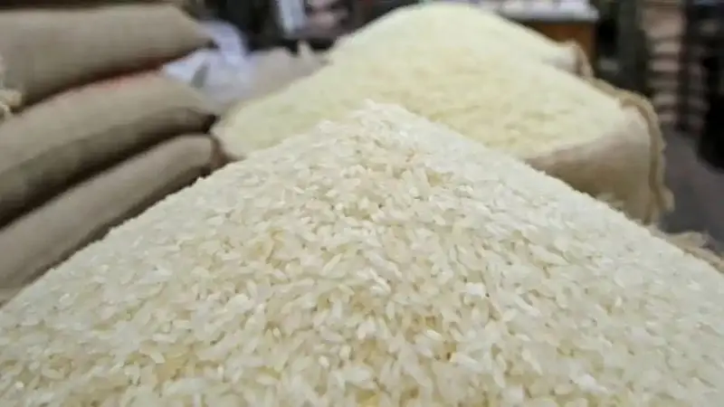 চাল নিয়ে দুশ্চিন্তা নেই চাল নিয়ে দুশ্চিন্তা নেই