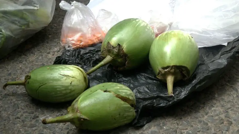 বেগুনের ভেতর ইয়াবা, নারীসহ আটক ২ বেগুনের ভেতর ইয়াবা, নারীসহ আটক ২