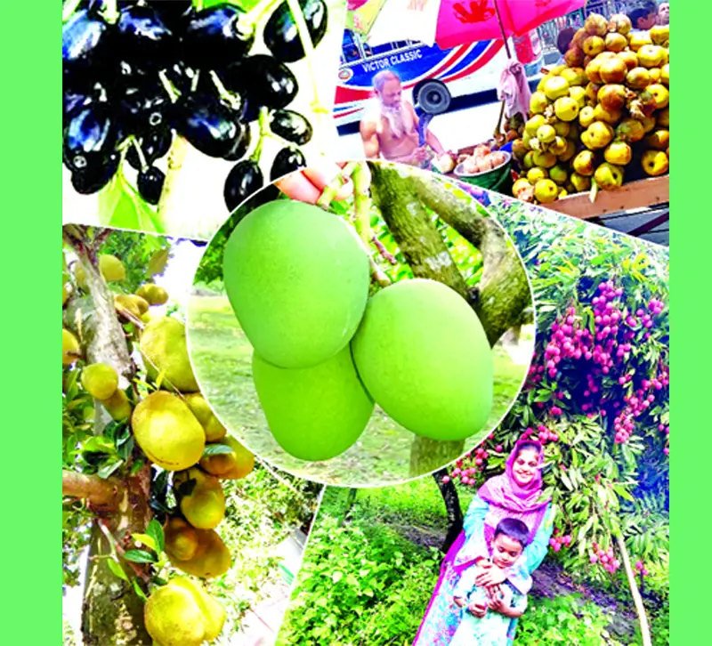 মধুমাস জ্যৈষ্ঠ মধুমাস জ্যৈষ্ঠ