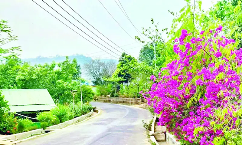 দরজা খোলা রেখে ঘুমালেও চুরি হয় না দরজা খোলা রেখে ঘুমালেও চুরি হয় না