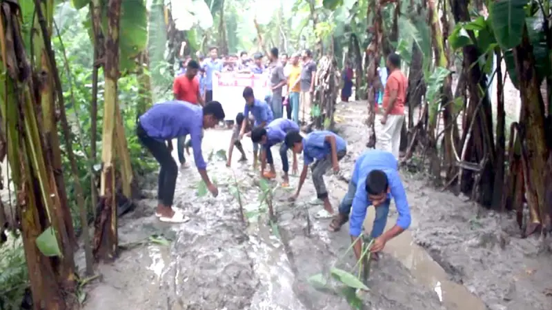 রাস্তায় কচুগাছ লাগিয়ে অভিনব প্রতিবাদ