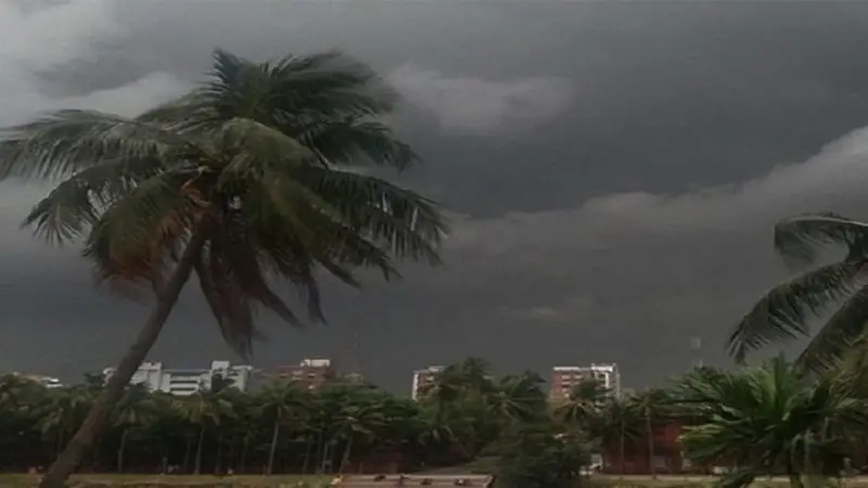 ৫ বিভাগে বজ্রসহ বৃষ্টির পূর্বাভাস ৫ বিভাগে বজ্রসহ বৃষ্টির পূর্বাভাস