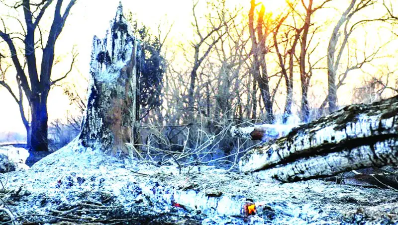 টেক্সাসে ভয়াবহ দাবানল