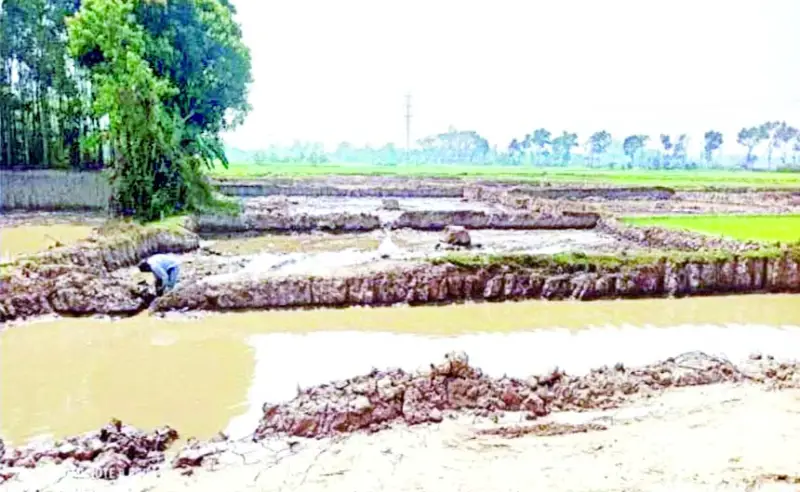 হালদা পাড়ের মাটি লুট
