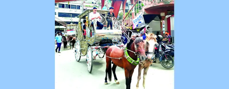 হারিয়ে যাচ্ছে ঐতিহ্যবাহী ঢাকার টমটম গাড়ি হারিয়ে যাচ্ছে ঐতিহ্যবাহী ঢাকার টমটম গাড়ি