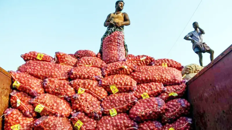 আমদানির ৫২ হাজার টন পেঁয়াজ আসছে আমদানির ৫২ হাজার টন পেঁয়াজ আসছে