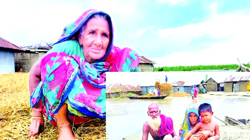 পোড়া চরে তিনি পোড় খাওয়া সোনা পোড়া চরে তিনি পোড় খাওয়া সোনা