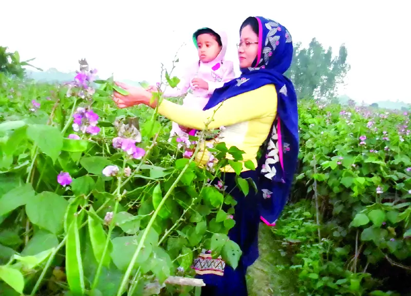 পরিবেশ সুরক্ষায় গৃহিণীর ভূমিকা