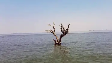 শাল্লায় হাওরে মাছ ধরতে গিয়ে জেলে নিখোঁজ
