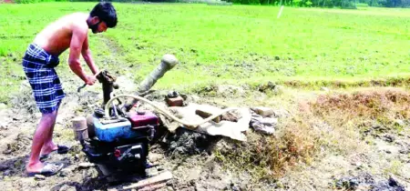 ভরা বর্ষায় বৃষ্টি নেই