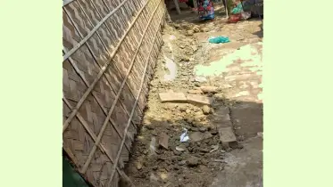 শোবার ঘরে মিললো বিষধর গোখরা সাপের ২২বাচ্চা