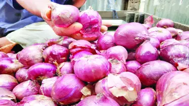 পেঁয়াজ নিয়ে তুলকালাম
