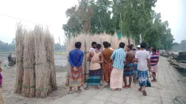 কুড়িগ্রামে পাটখড়ির ব্যাপক চাহিদা, দামেও খুশি চাষীরা