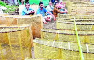 ছোট মাছ ধরার ফাঁদ  দাড়কি, কোথাও  নাম চাঁই