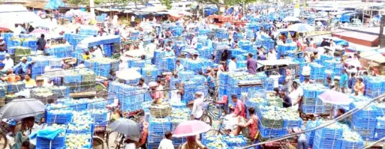 সাপাহারে শেষ মুহূর্তে জমজমাট আমের বাজার