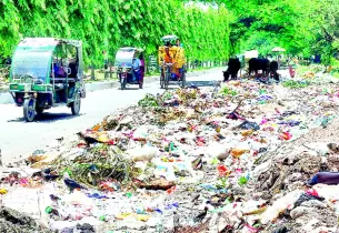 বগুড়ায় বর্জ্য ফেলা হচ্ছে রাস্তার ওপর, ঘটছে এডিস মশার বিস্তার
