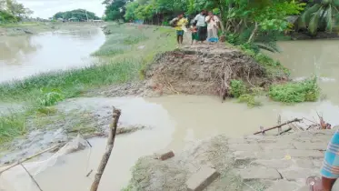 পাউবো বাঁধ ভেঙ্গে ফসলের ব্যাপক ক্ষতি