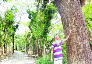 ৭০ বছরে ৫০ হাজারের  বেশি গাছ লাগিয়েছেন  এখনো চলছে