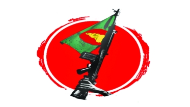 বিজয়ের মাস