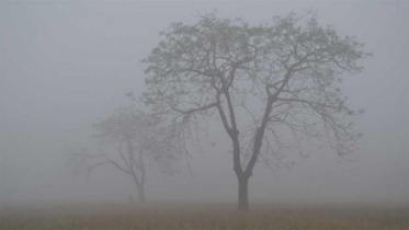 উত্তরাঞ্চলে হিমেল  হাওয়া আর  ঘন কুয়াশা