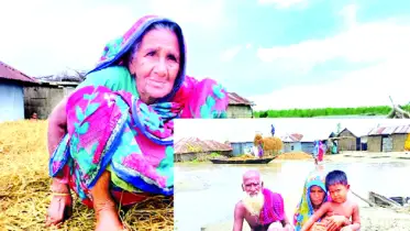 পোড়া চরে তিনি পোড় খাওয়া সোনা 