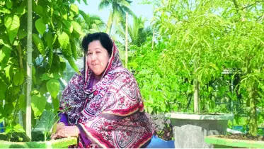 ছাদবাগানের সবজি ফারহানার সফলতা