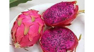 ৯ বছরে ড্রাগন ফলের আবাদ বেড়েছে ১১৬ গুণ