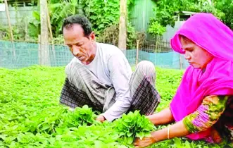 ক্যান্সার রোধে সহায়ক পেটের পীড়া দূর করে