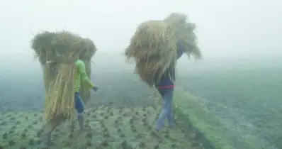 আরও সন্নিকটে শীত
