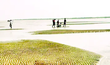কুতুবদিয়া চ্যানেলে জেগে উঠেছে ‘মায়াদ্বীপ’