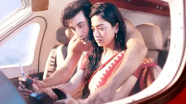 বইছে ‘অ্যানিমেল’ ঝড়
