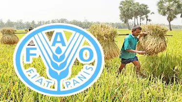 বাংলাদেশের কৃষি ও কৃষক