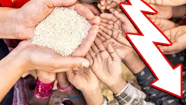 বিশ্ব খাদ্য সংকট ও মানবিক বিপর্যয়