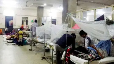 ডেঙ্গুতে ৮ মৃত্যু, হাসপাতালে ৯৭৫ 