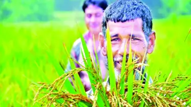 কৃষি ঋণ খাদ্য নিরাপত্তায় সহায়ক