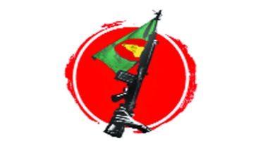 বিজয়ের মাস