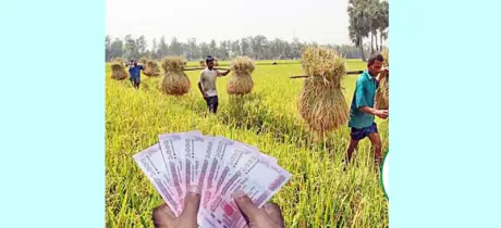 দুই মাসে ৫৩০৮ কোটি টাকার কৃষিঋণ বিতরণ