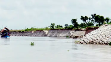 তীব্র ভাঙনে দিশেহারা পদ্মা তীরবাসী