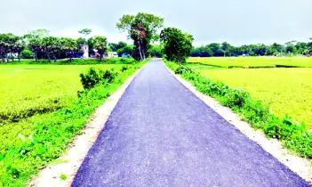 উন্নয়নে আড়াইহাজারের চিত্র পাল্টে গেছে