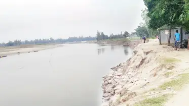 বাঙ্গালি নদীর ভাঙনে বিলীন হচ্ছে জনবসতি